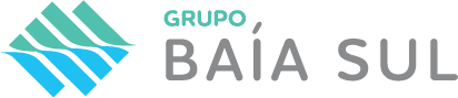 logo grupo baia sul